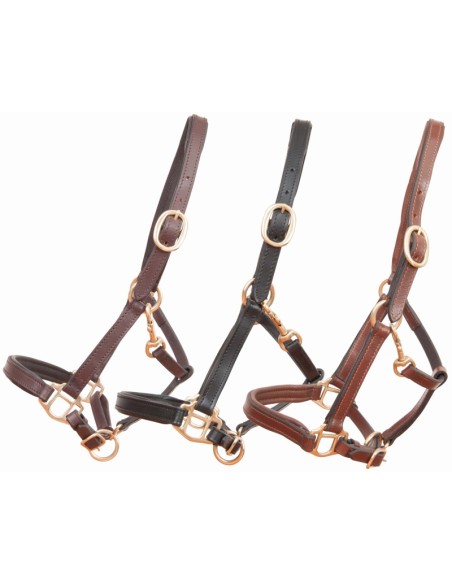 Licol en cuir POULAIN T de T