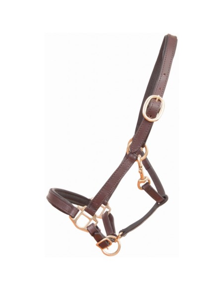 Licol en cuir POULAIN T de T - havane