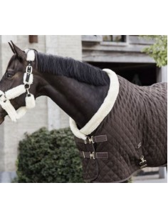 Couverture de présentation 160g KENTUCKY 2