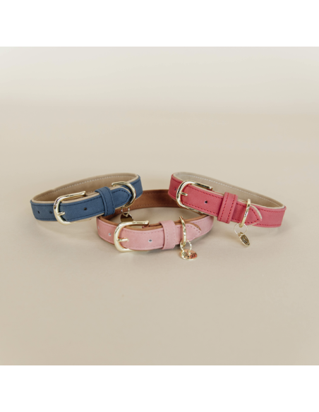 Collier pour chien en cuir vegan Kentucky