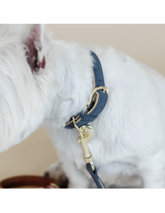 Collier pour chien en cuir vegan Kentucky bleu