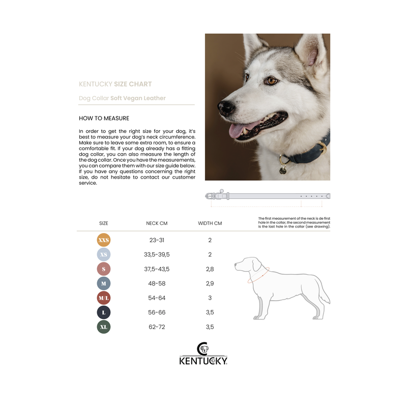 Collier pour chien en cuir vegan Kentucky - Guide de tailles