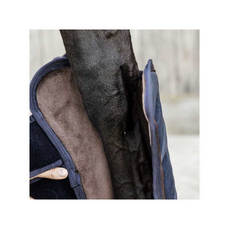 Protections de transport Kentucky