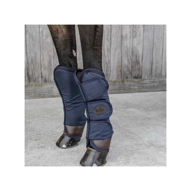 Protections de transport Kentucky