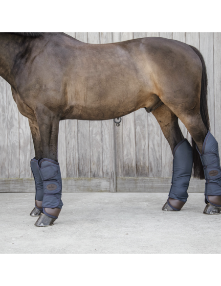 Protections de transport Kentucky