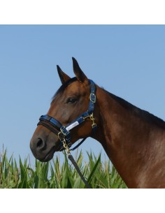 Contrôleur pour licol Stübben