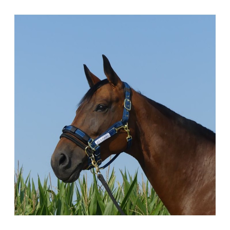 Contrôleur pour licol Stübben