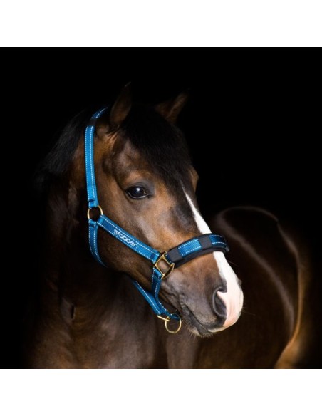 Licol d'écurie réfléchissant Stübben