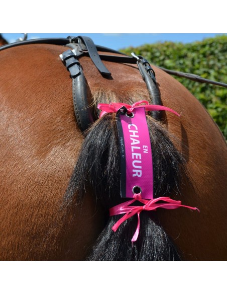 HippiCode à nouer JE TAPE / JE MORDS / ENTIER / EN CHALEUR / A VENDRE