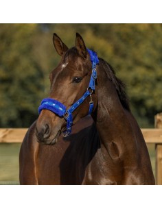 Licol PLUSH Horka - bleu roi