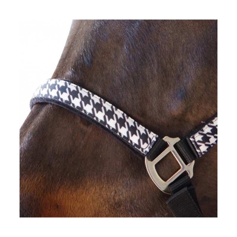 Set licol+ longe pied de poule Canter