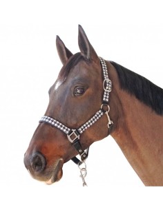 Set licol+ longe pied de poule Canter