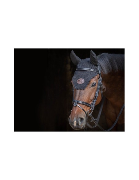 Bridon WEEK TUESDAY Jump'in