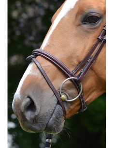 Muserolle WEEK MONDAY Jump'in