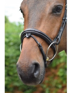 Muserolle WEEK WEDNSDAY Jump'in