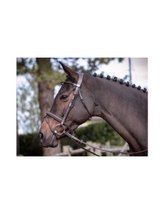 Bridon WEEK WEDNSDAY Jump'in