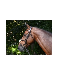 Bridon WEEK WEDNSDAY Jump'in 2