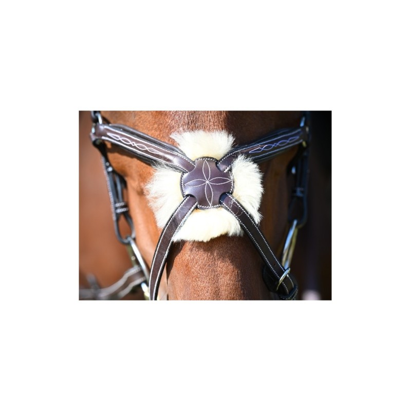 Bridon WEEK WEDNSDAY Jump'in