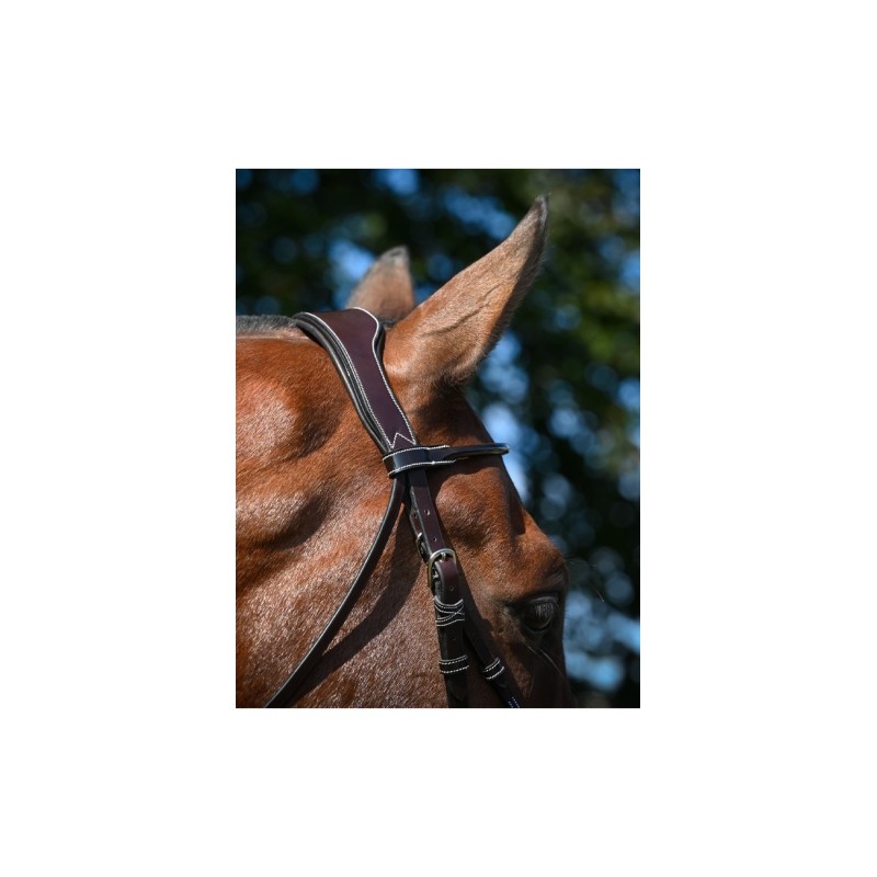 Bridon WEEK WEDNSDAY Jump'in