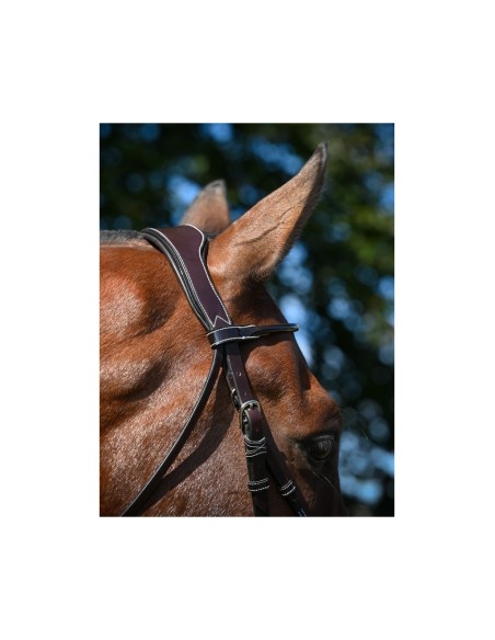 Bridon WEEK WEDNSDAY Jump'in