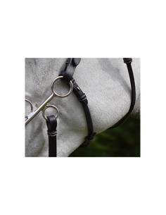 Sous gorge WEEK pour hackamore Jump'in