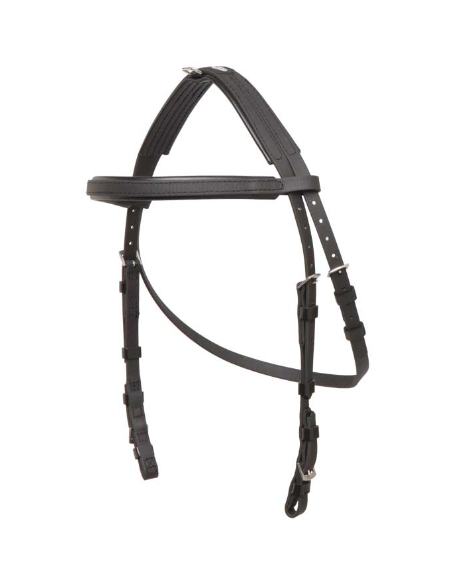 Bridon hackamore Zilco.