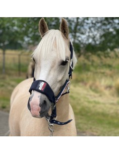 Licol CLASSIC Kingsland 2