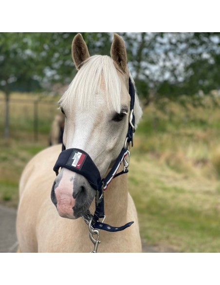 Licol CLASSIC Kingsland