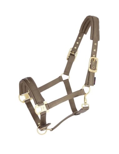 Licol & longe Covalliero - marron