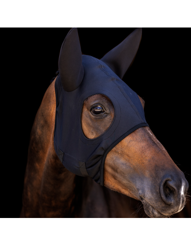 Masque COME BEST Titanium Lami-Cell