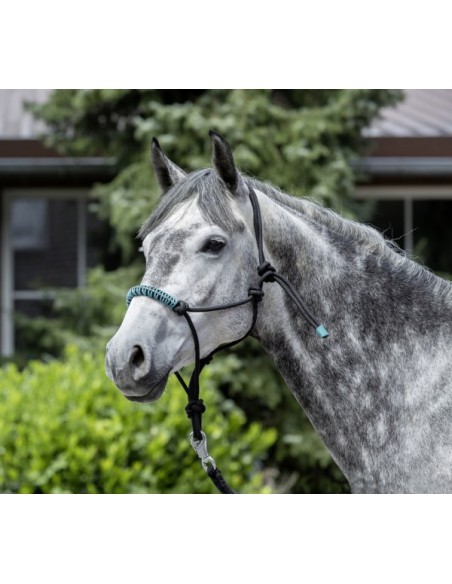 Licol éthologique USG | Sellerie Sylvie Equitation