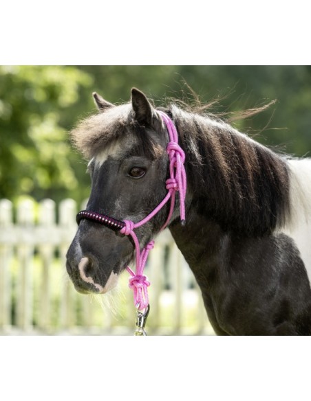 Licol éthologique USG | Sellerie Sylvie Equitation