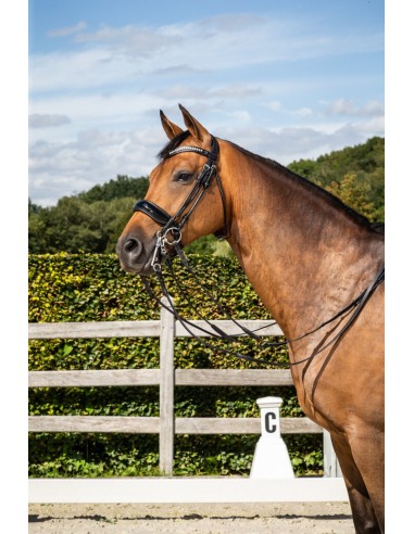 Bride Muserolle Large Vernis Frontal Swarovski DY'ON