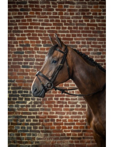 Bridon Anatomique Muserolle Combinée DY'ON