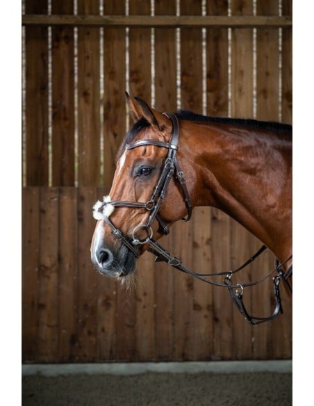 Bridon Classic Muserolle Croisée DY'ON