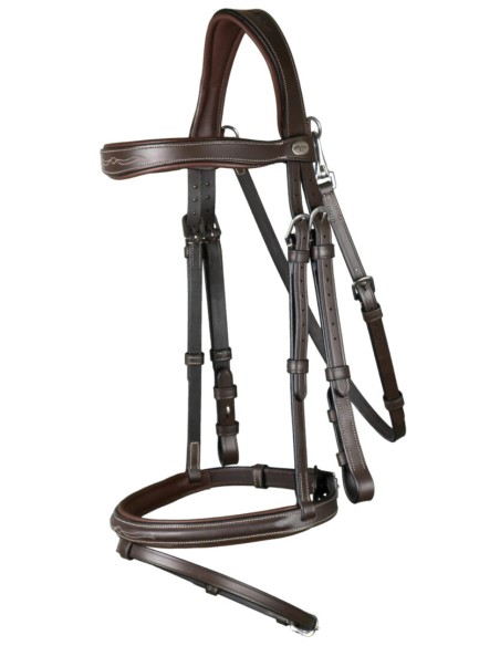 Bridon FANCY Muserolle Combinée DY'ON