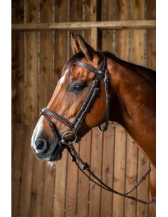 Bridon FANCY Muserolle Combinée DY'ON 2