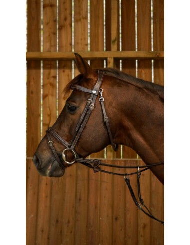 Bridon FANCY Muserolle Combinée DY'ON