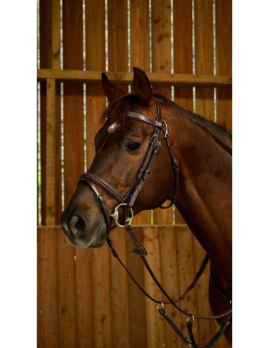 Bridon FANCY Muserolle Combinée DY'ON