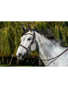 Bridon muserolle combinée Dy'on 2