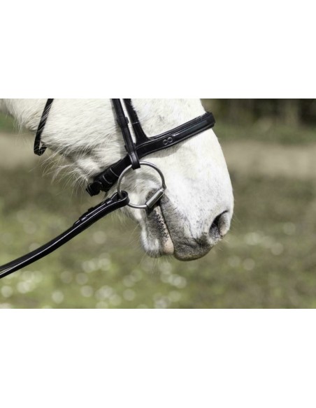 Bridon muserolle combinée Dy'on