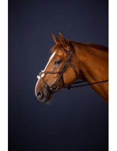 Bridon Muserolle Combinée New English Collection DY'ON 2