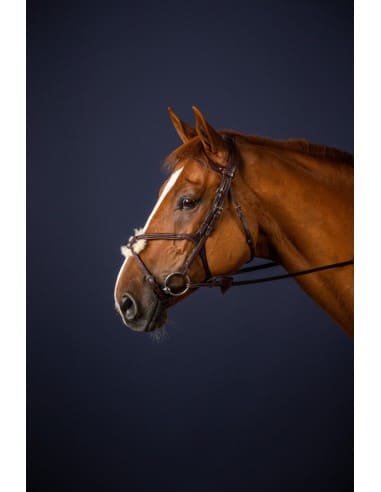 Bridon Muserolle Combinée New English Collection DY'ON