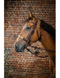 Bridon Muserolle Corde Dy'on 2