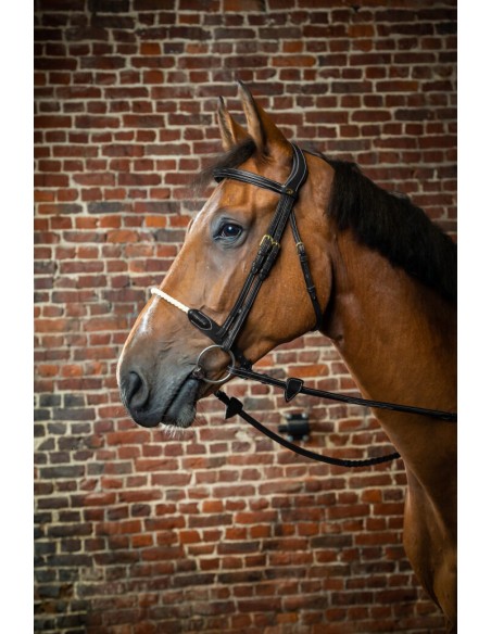 Bridon Muserolle Corde Dy'on