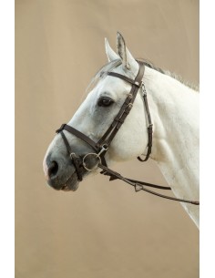 Bridon Plat à mousquetons DY'ON 2