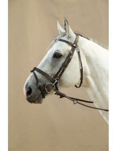 Bridon Plat à mousquetons DY'ON