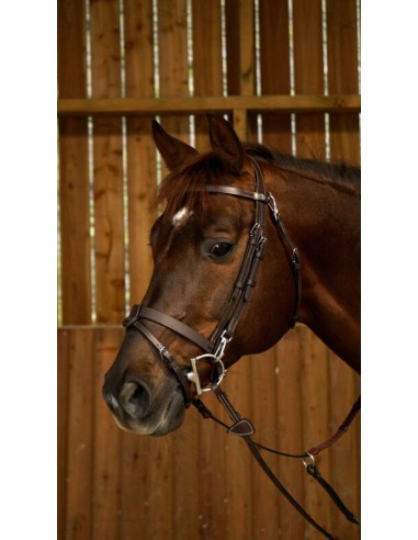 Bridon Plat à mousquetons DY'ON