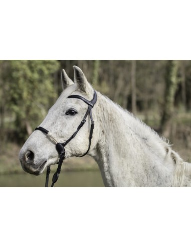 Bridon Sans Mors la Cense DY'ON