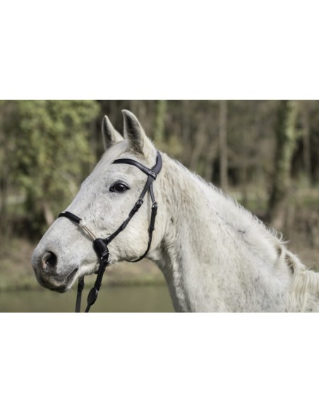 Bridon Sans Mors la Cense DY'ON